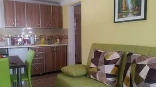 Апартаменты Panoramic Paradise Котор Апартаменты с 1 спальней-4